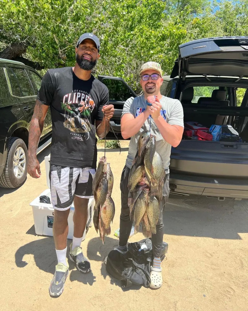 他们倾向于 他们倾向于