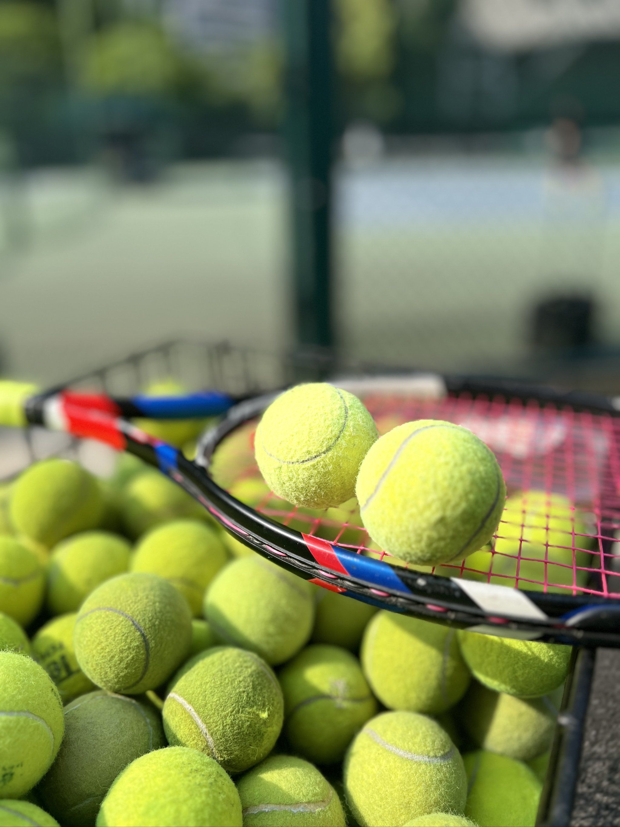 有的人则利 有的人则利